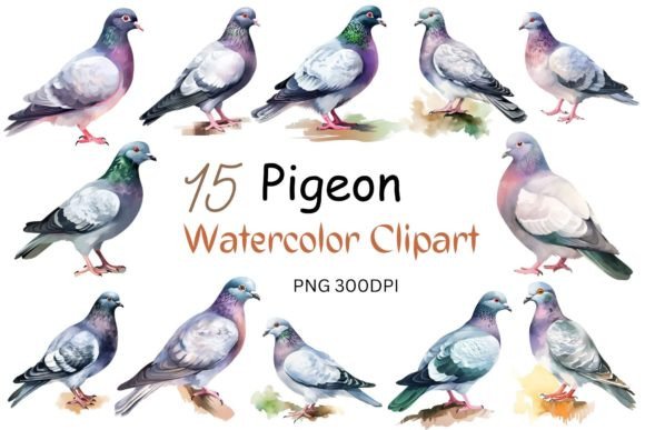 Watercolor Pigeon Clipart Sublimation in Crafts