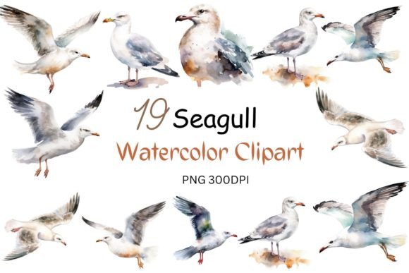 Watercolor Seagull Clipart Sublimation for Crafts